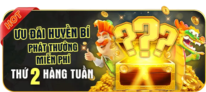Cập nhật tin tức khuyến mãi và mã code Fly88